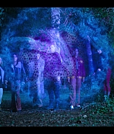 Fate_The_Winx_Saga_S02E05_Are_You_a_Good_Witch_or_a_Bad_Witch_1080p__6873.jpg