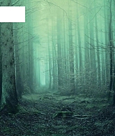RapidQuestions_SoundsOfSeriesConv_188.jpg
