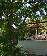 A_Little_Italian_Vacation_2021_1080p__01198.jpg