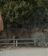 A_Little_Italian_Vacation_2021_1080p__03190.jpg