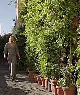 A_Little_Italian_Vacation_2021_1080p__08308.jpg