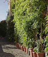A_Little_Italian_Vacation_2021_1080p__08315.jpg